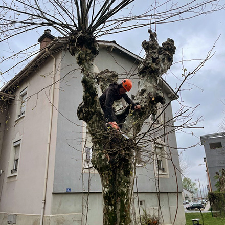 Espaces verts, entretien, élagage et abattage